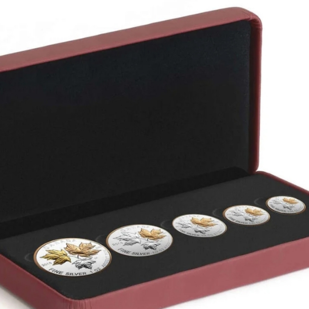 2016 RCM A Historic Reign - Pure Silver Maple Leaf Fractional Set
